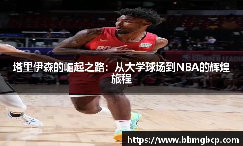 xk星空官方